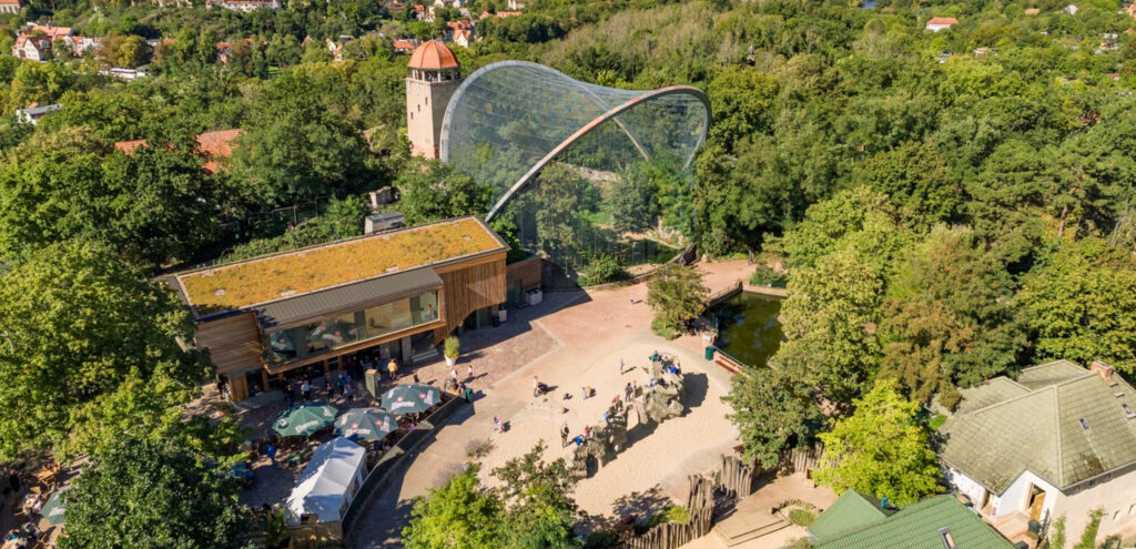 mountain zoo germania CAME