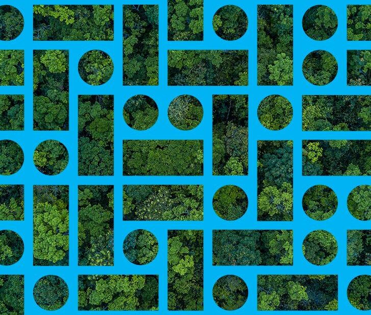 Gruppo CAME: da Intesa Sanpaolo finanziamento per lo sviluppo sostenibile