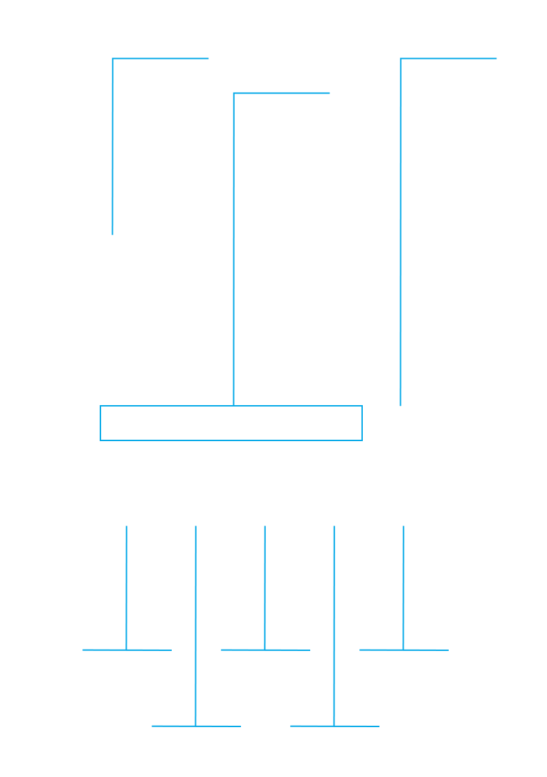 PLX Video text