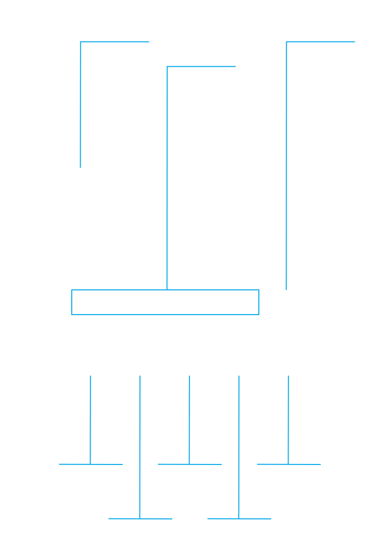PLX Video text